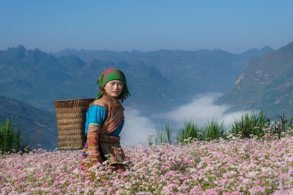 Ha Giang