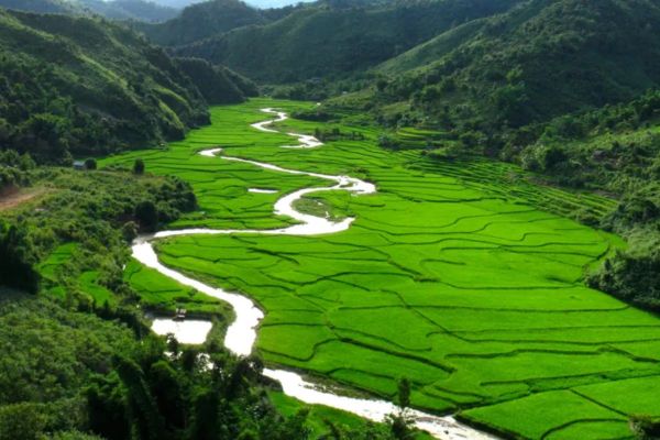 Provincia de Luang Namtha