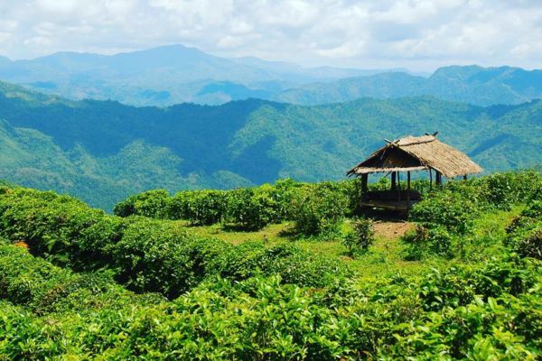 Provincia de Phongsali