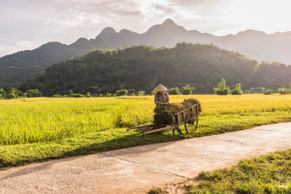 Mai Chau