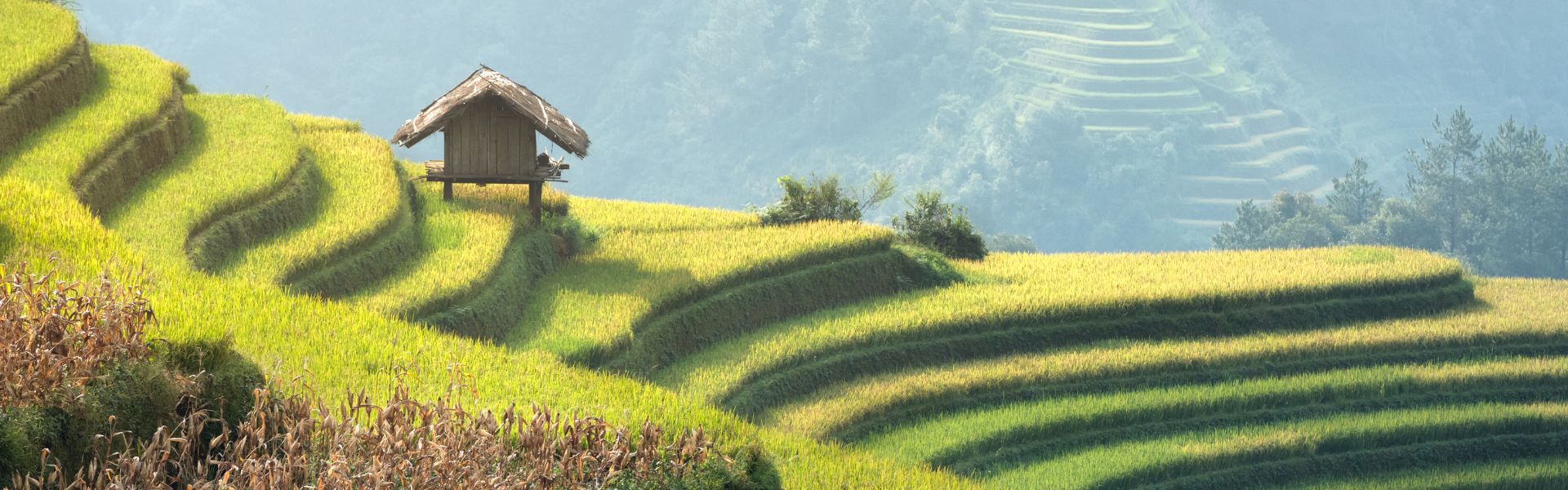 Mu Cang Chai - Consejos de viaje | Guía de viajes a Vietnam