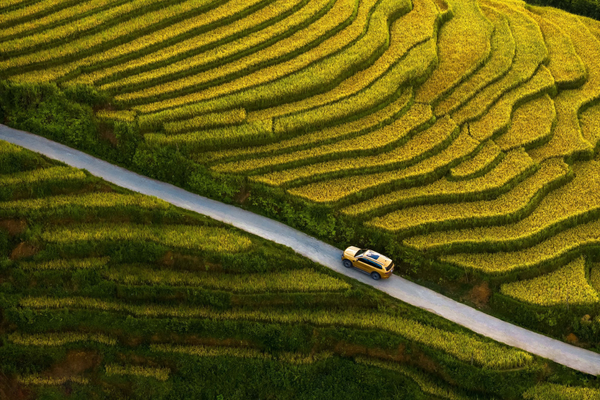 Sapa