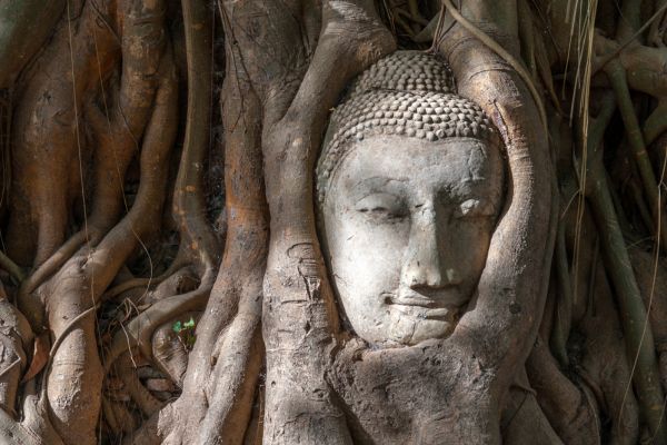 Ayutthaya