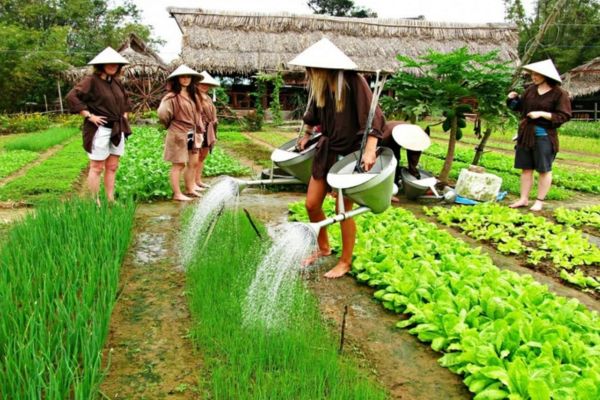 Cam Thanh – Tra Que Village