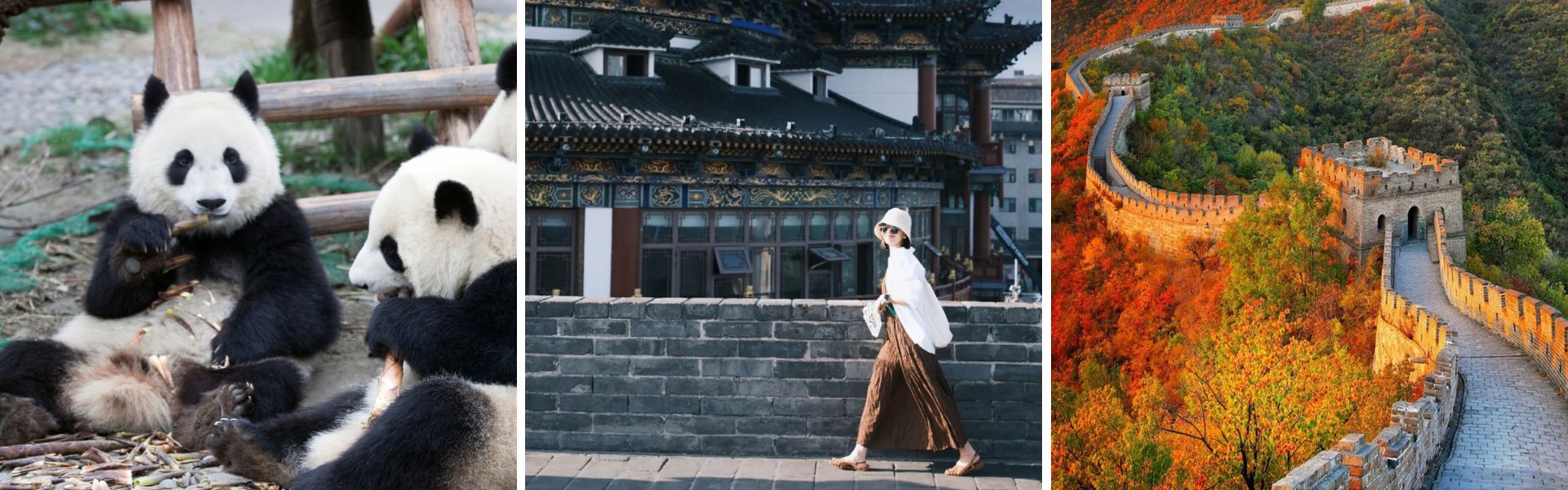 El mejor viaje a China - Tour en grupo