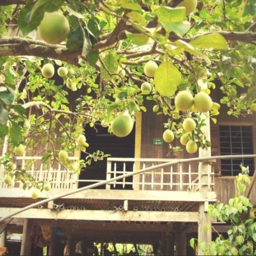 Casa del habitante en Koh Trong