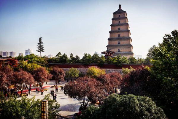 Día 06: Xi'an - Zhangjiajie