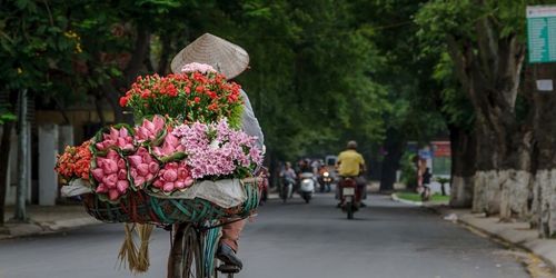 Colaboración con blogs españoles