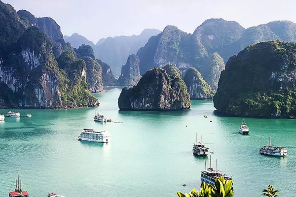 Día 06: Ninh Binh - Bahía de Halong (Minibús compartido y guía en inglés a bordo)