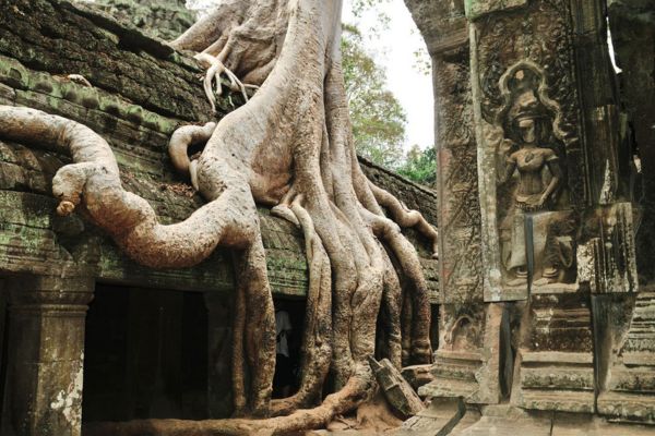Día 09: Siem Reap: Angkor Thom y Angkor Wat