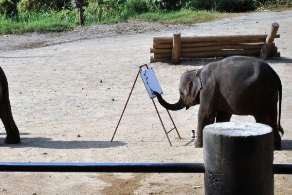 Día 3: Chiang Mai - Chiang Rai