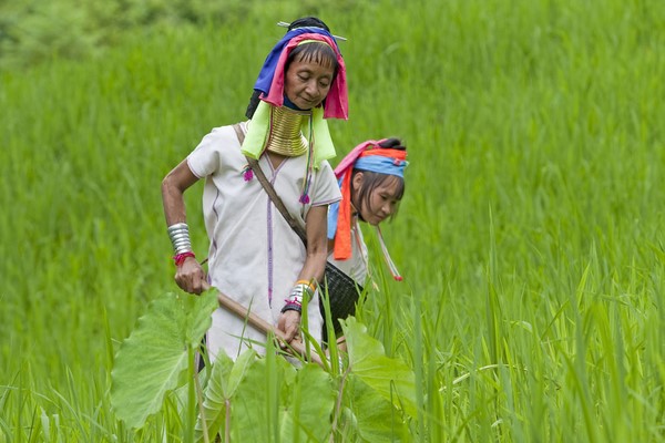 Día 3: Pai - Mae Hong Son 
