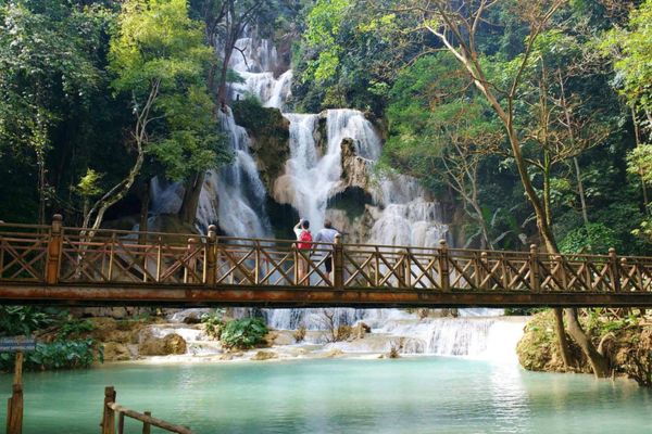 Día 14: Luang Prabang - Kuangsi Waterfall