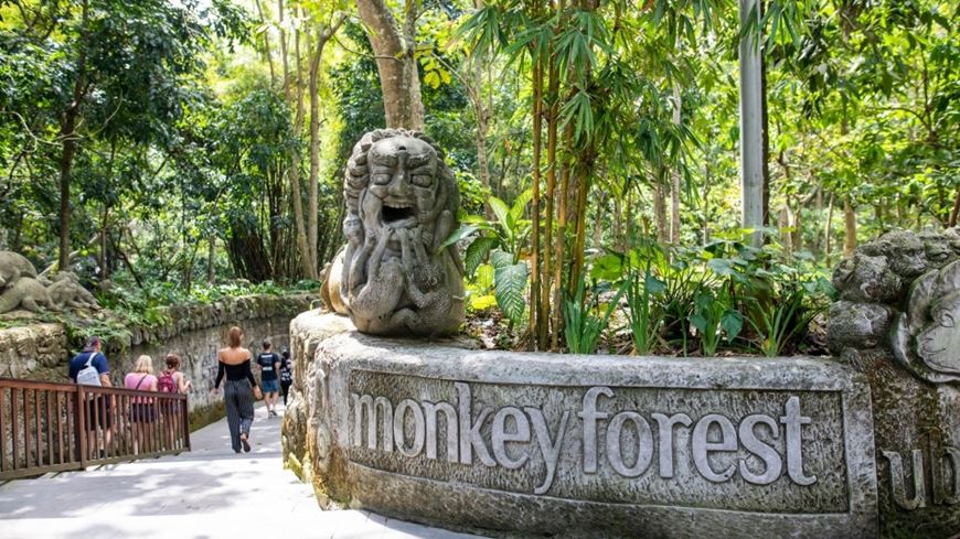 Bosque de los monos en Bali Indonesia