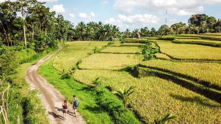 Tetebatu Indonesia