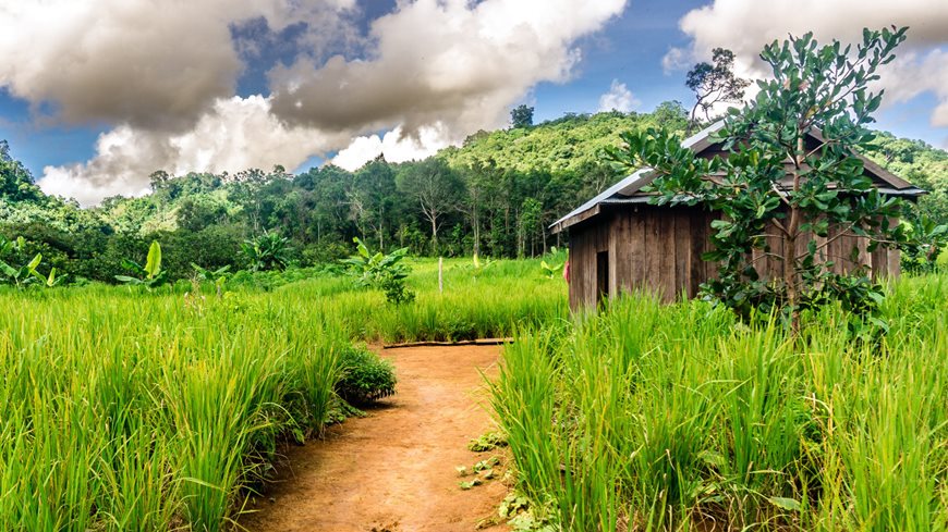 Época mejor para viajar a Mondulkiri Camboya