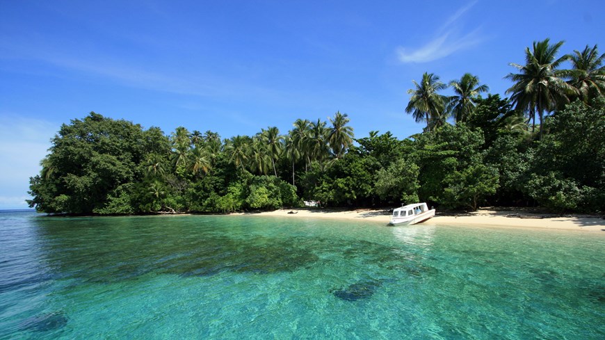 Parque Nacional Marino de la Bahía de Cenderawasih Papua Indonesia