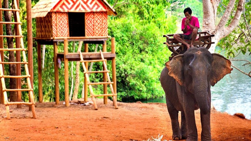 Bosque de Norng Kabat Ratanakiri Camboya