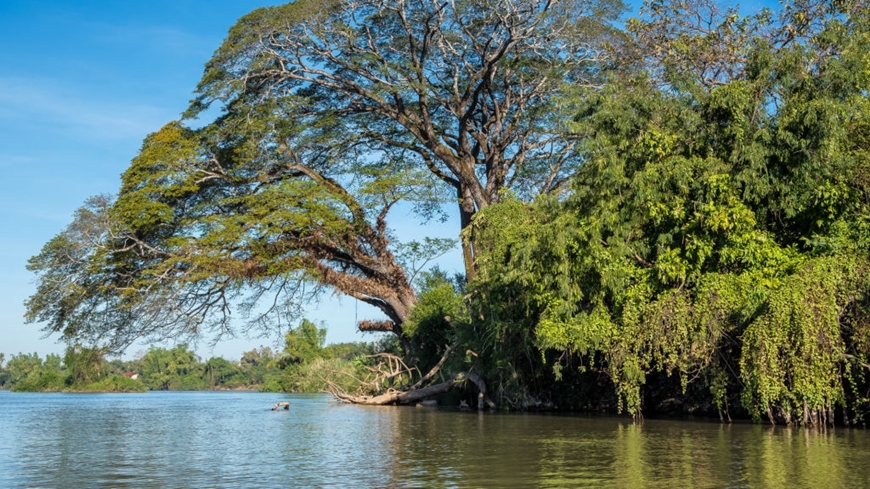 viajar a Si Phan Don Laos 2