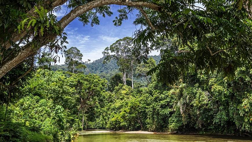 Mejor epoca para viajar a Sumatra
