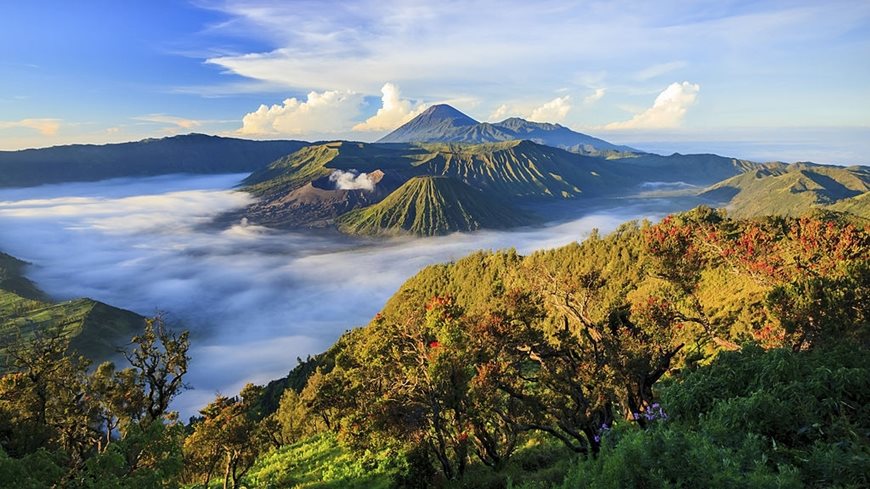 Isla Java Indonesia