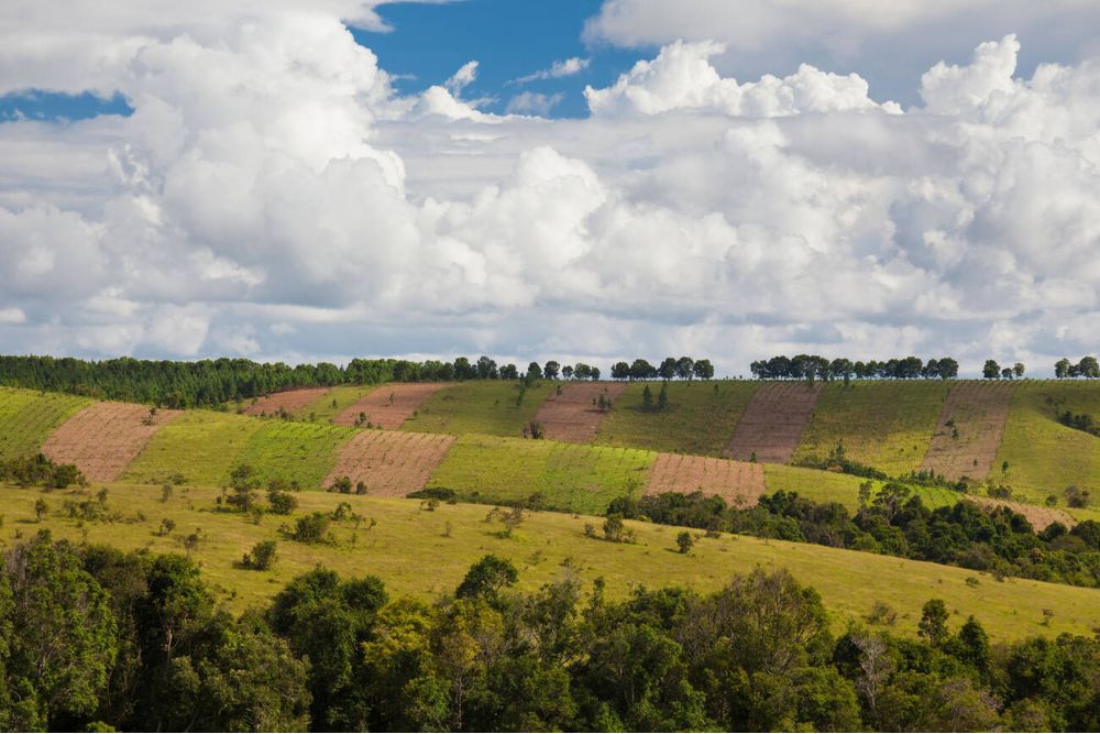 mondulkiri
