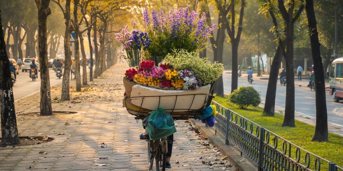 El tiempo en Hanoi - Mejor época para viajar a Hanoi