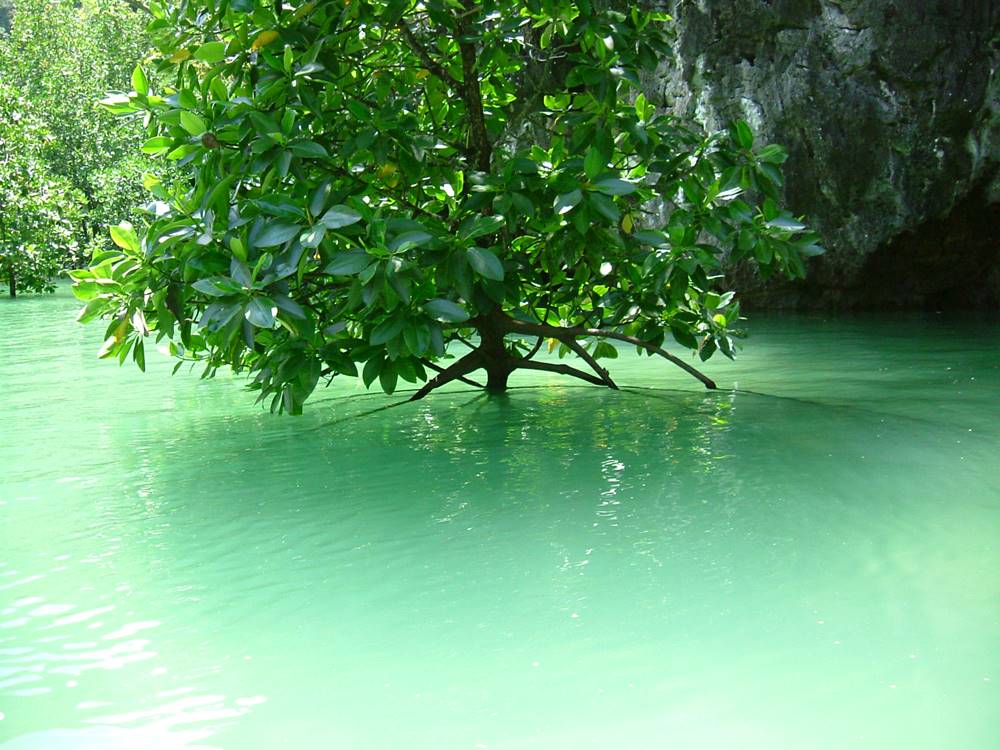 Guía de viaje a la bahía de Phang Nga