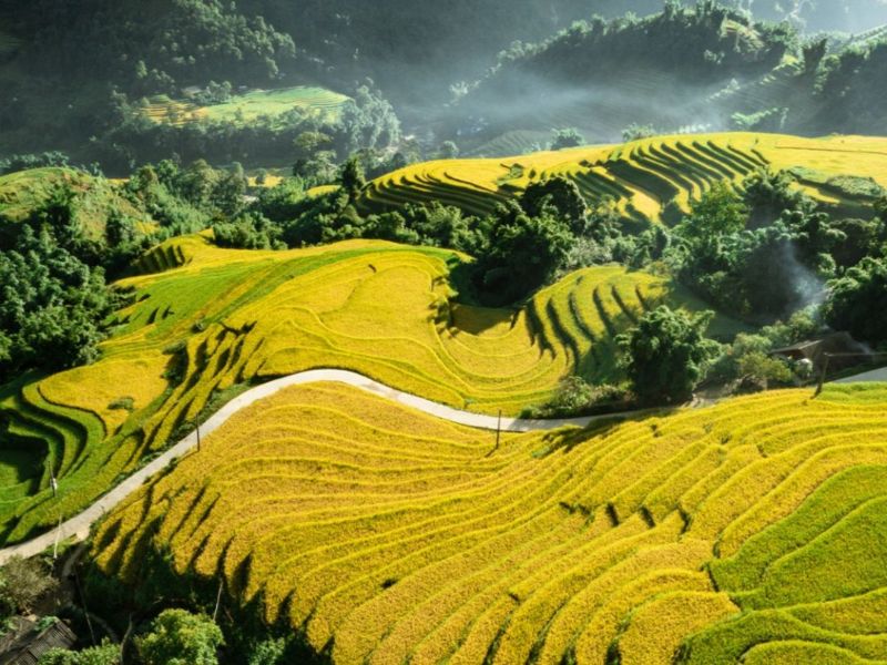 Paquete de viajes en Vietnam