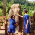 Hoi An – Ponte de Ouro - Hoi An