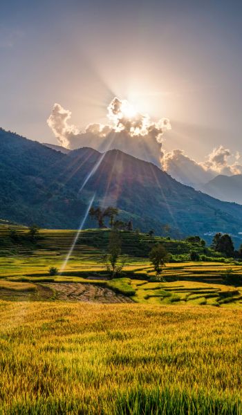Chiang Mai